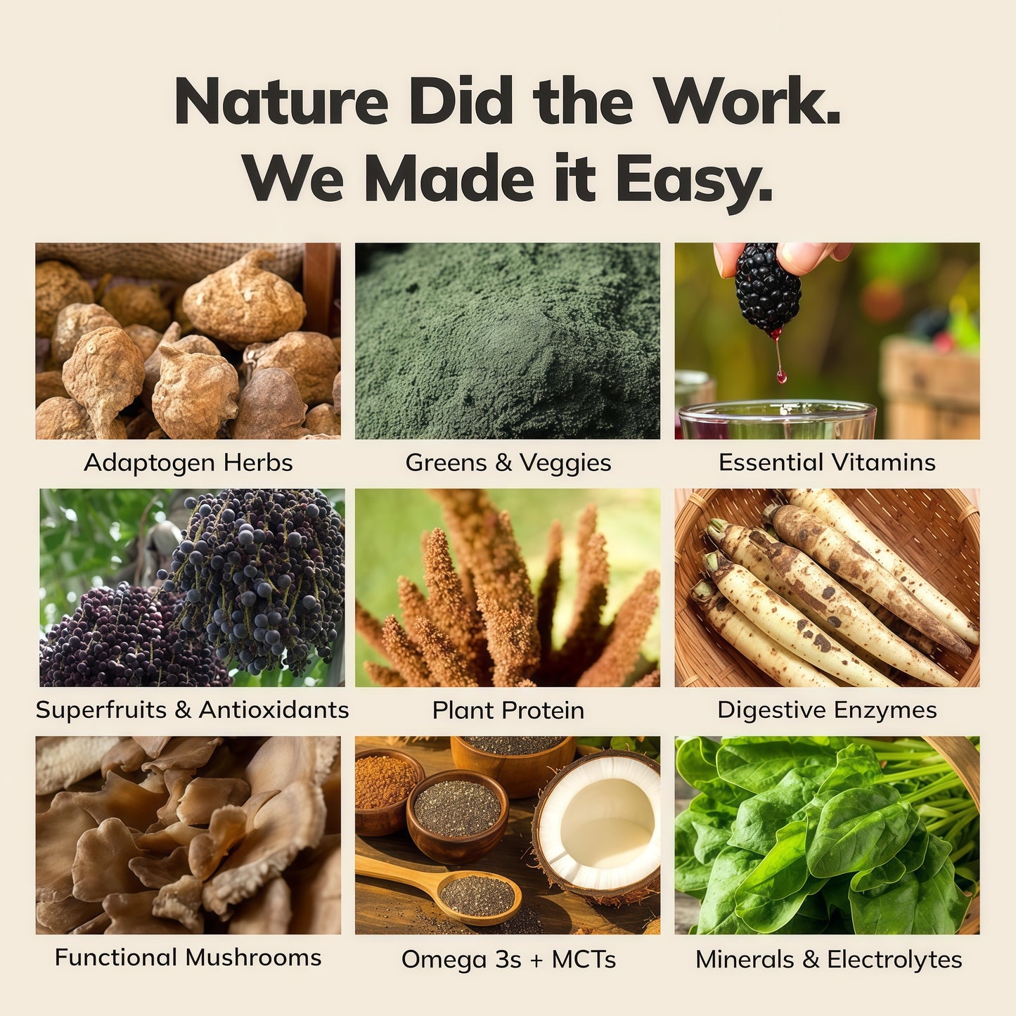 Ka’Chava Digestive Enzymes  Probiotics All-In-One Nutrition  Blend Strawberry  Shake